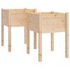 vidaXL Vrtno cvetlično korito 2 kosa 50x50x70 cm trdna borovina