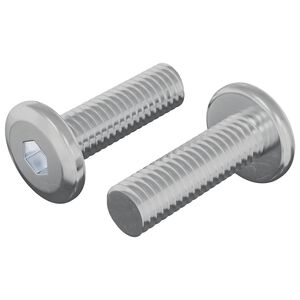 vidaXL Vijak 2 kos srebrna 8 x 25 mm Jeklo