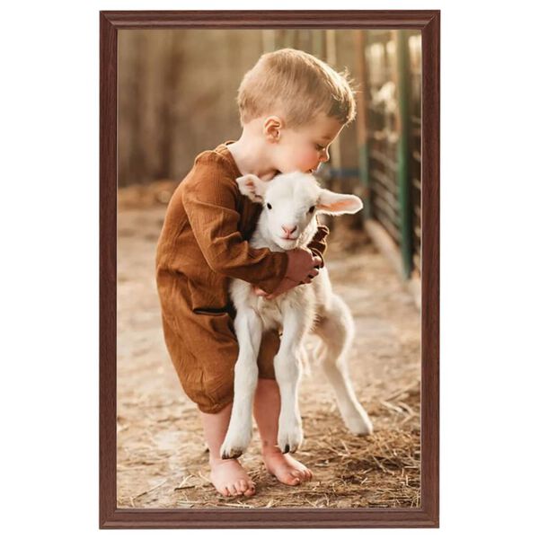 vidaXL Foto okvirji 5 kosov namizni rjavi 21x29,7 cm MDF