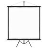 vidaXL Projekcijsko platno s trinožnim stojalom 89" 1:1