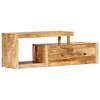 vidaXL TV omarica 120x30x40 cm trden mangov les