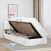vidaXL Postelja z dodatnim prostorom za shranjevanje in LED osvetlitvijo