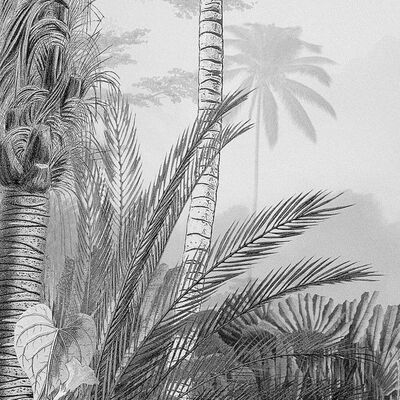 Komar Stenska slika Lac Tropical Black & White 200x270 cm