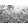 Komar Stenska slika Amazonia črna in bela 400x250 cm
