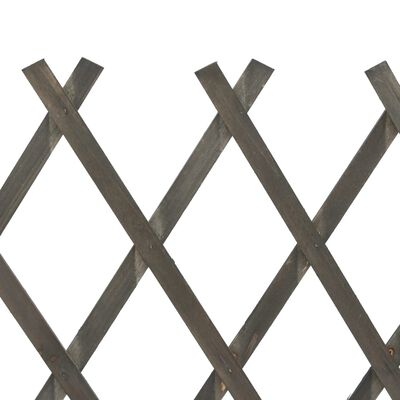 vidaXL Vrtna mrežasta ograja siva 120x90 cm trden les jelke
