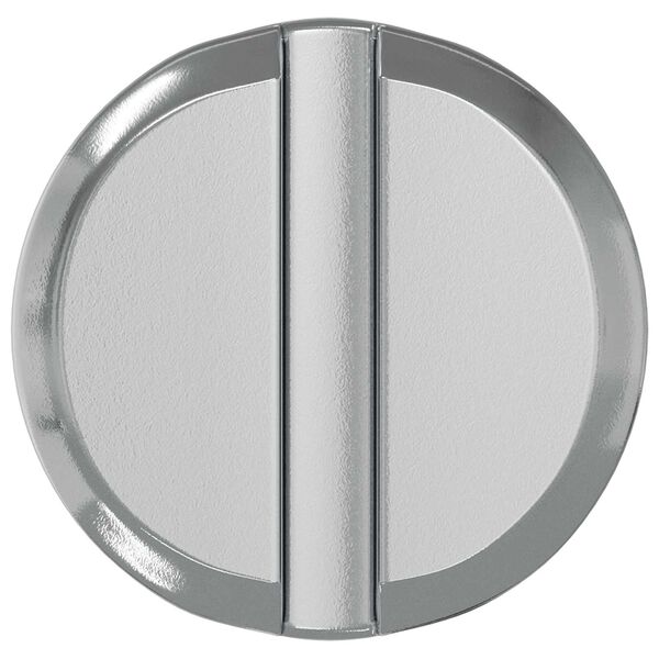 vidaXL Žirek 2 pcs Cinkano 60 x 12 mm elezo