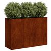 vidaXL Planter Rusty 120x40x80 cm Vremensko odporno jeklo