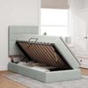 vidaXL Postelja z dodatnim prostorom za shranjevanje in LED osvetlitvijo