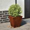 vidaXL Garden Planter 30x30x30 cm Vremensko odporno jeklo