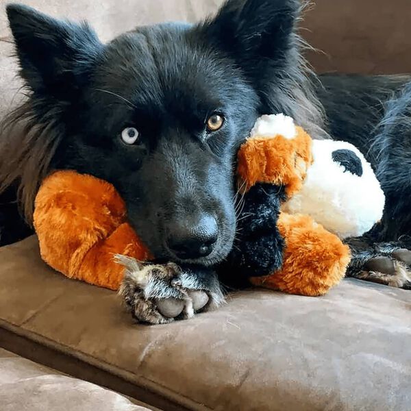 Snuggle Puppy Pli&scaron;asta igrača za pse s srčnim utripom rjava in bela