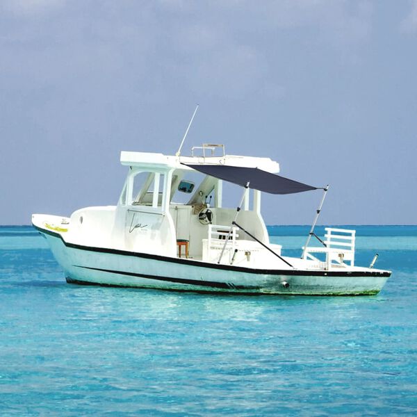 vidaXL Razširljivo senčilo za T-Top mornar. modro 170x208x(115-183) cm