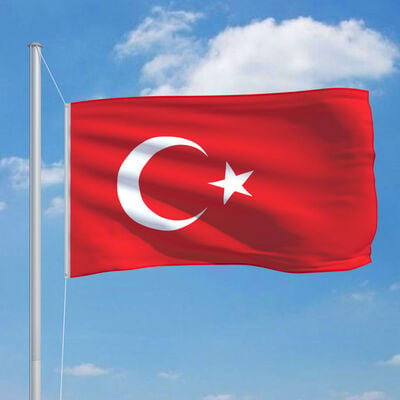 vidaXL Zastava Turčije in aluminijast zastavni drog 6,2 m