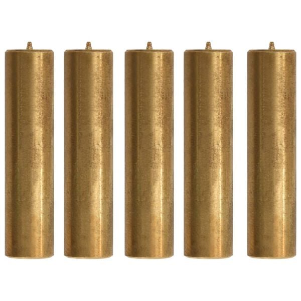 vidaXL Zatiči za vitel z vrvjo 1600/3200 kg 5 kosov medenina