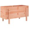 vidaXL Vrtna visoka greda 101x50x57 cm trden les douglas