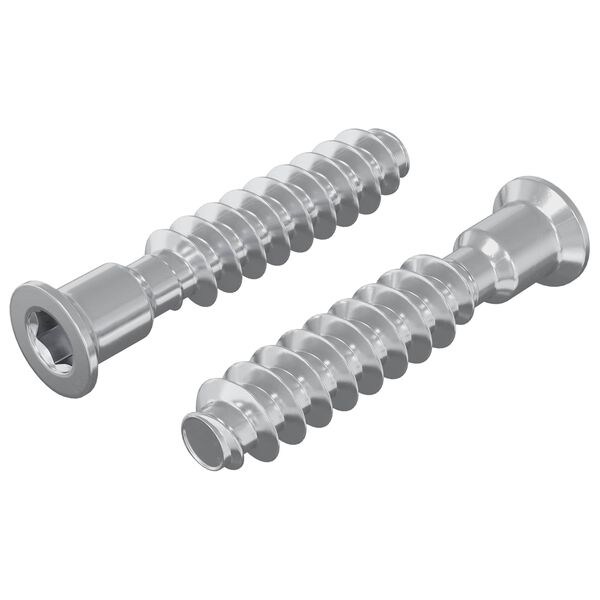 vidaXL &Scaron;efasta vijak 2 pcs srebrna M7 x 40 mm Jeklo