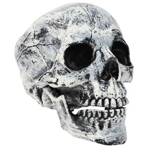 vidaXL Lobanja za noč čarovnic SPOOKA 2 kos Bela 12 x 15 x 17.5 cm