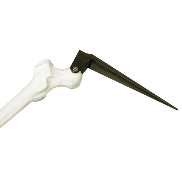 vidaXL Halloween skelet Bela 45,5 x 13 cm Plastika