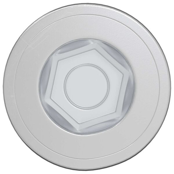 vidaXL Potrdilni vijaki 12 pcs srebrna &Oslash;7 x 58 mm Kovina