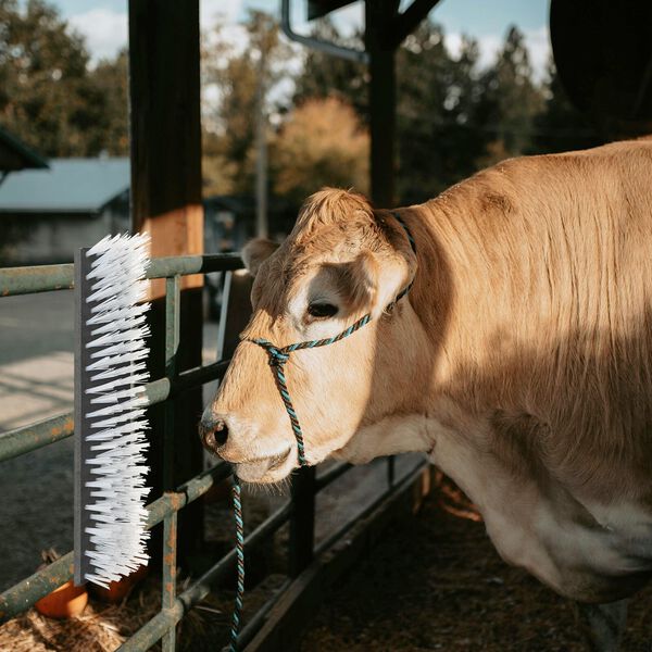 vidaXL Četke za govedo Črna in bela 50 x 10 x 6.5 cm Plastika in jeklo