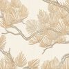 DUTCH WALLCOVERINGS Tapeta borovci krem