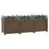 vidaXL Dvignjena gredica 120x40x38 cm polipropilen