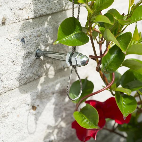 Nature Komplet oporne mreže za vzpenjalke 6040760