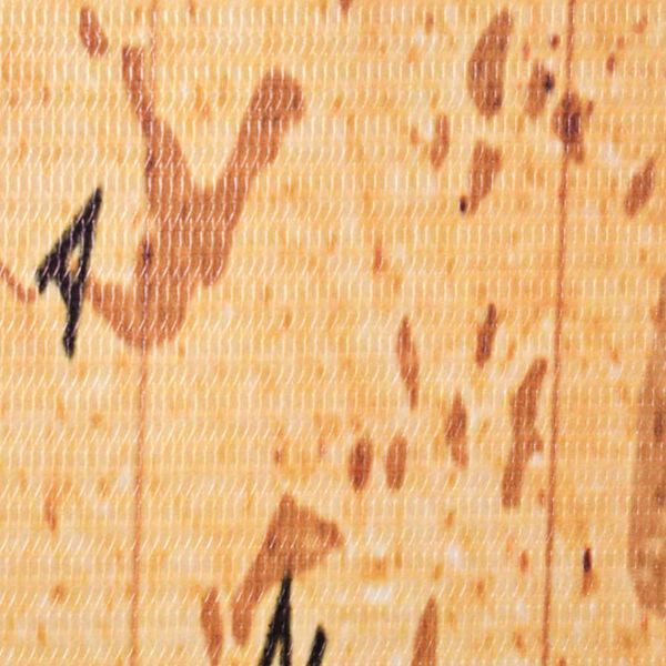 vidaXL Zložljiv paravan 120x170 cm zemljevid sveta rumen