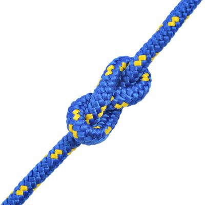 vidaXL Mornarska vrv polipropilen 8 mm 100 m modra