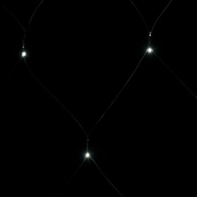 vidaXL Novoletna svetlobna mreža hladno bela 3x2 m 204 LED lučk