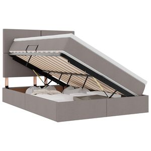 vidaXL Postelja z dodatnim prostorom za shranjevanje in LED osvetlitvijo