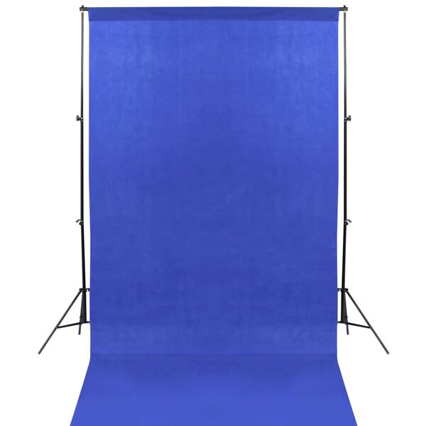 vidaXL Komplet za foto studio s softbox lučmi in ozadji