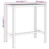 vidaXL Barska miza 110x60x110 cm impregnirana borovina