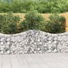 vidaXL Obokane gabion ko&scaron;are 15 kosov 200x30x80/100 cm cinkano železo