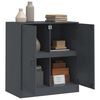 vidaXL Komoda antracitna 67x39x73 cm jeklo
