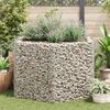 vidaXL &Scaron;estkotna visoka greda gabion 160x140x100 cm