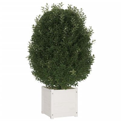 vidaXL Vrtno cvetlično korito belo 40x40x40 cm trdna borovina