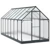 vidaXL Rastlinjak v vrtu 183,5 x 423,5 x 207 cm