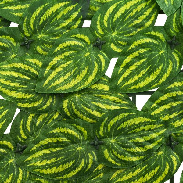 Prikazana fotografija izdelka 4 od 6