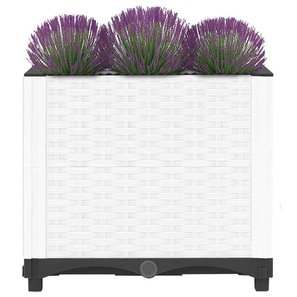 Prikazana fotografija izdelka 3 od 8