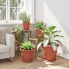 Sličica izdelka 5 od 12
