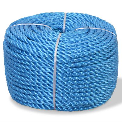 vidaXL Zvita vrv polipropilen 10 mm 100 m modra