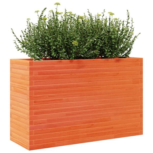 Prikazana fotografija izdelka 4 od 10