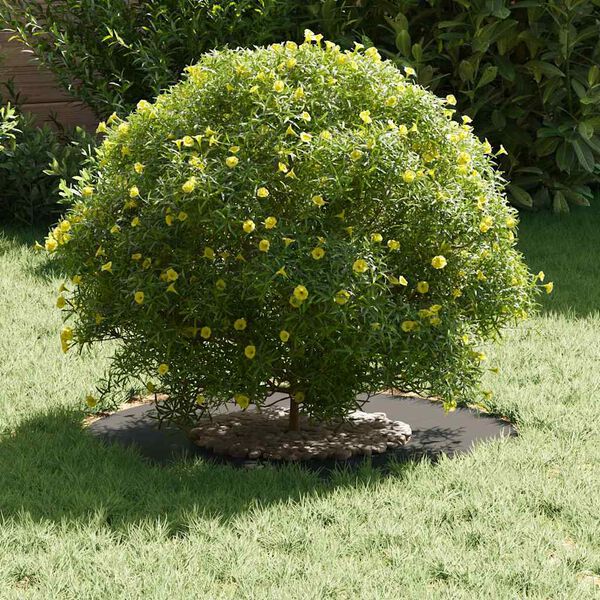 vidaXL primeren za ravni obroč drevesa Črna Ø30 / 60 cm Jeklo