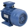 vidaXL Trifazni elektromotor aluminijast 3 kW/4KM 2840 vrt/min