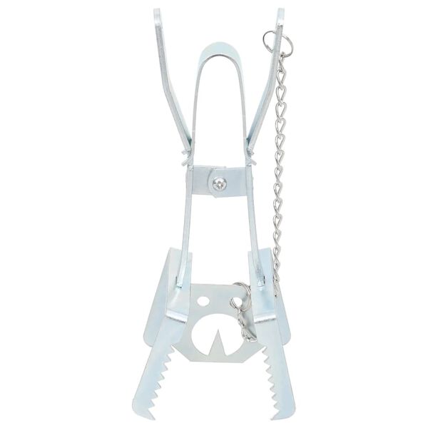 vidaXL Past za krte 5 kosov srebrno pocinkano jeklo