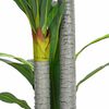 vidaXL Umetno drevo Dracaena 36 listov 120 cm zelena