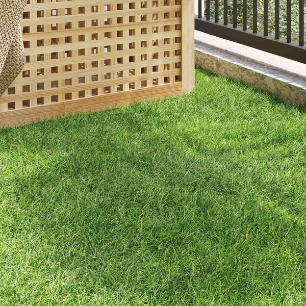 Prikazana fotografija izdelka 3 od 10