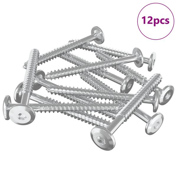 vidaXL Leseni vijaki 12 pcs srebrna M6 x 70 mm Jeklo