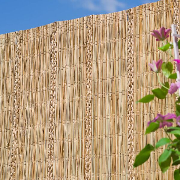 Nature Vrtna pregrada iz Carex &scaron;a&scaron;ja 3x1,2 m