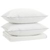 vidaXL 90% Gosji puh set odej FULDA 3 kos 140 x 220 cm Poletje 100 GSM